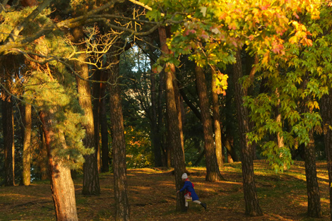 Minsk Autumn