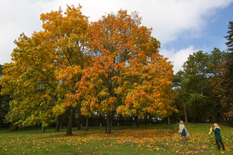 Minsk Autumn