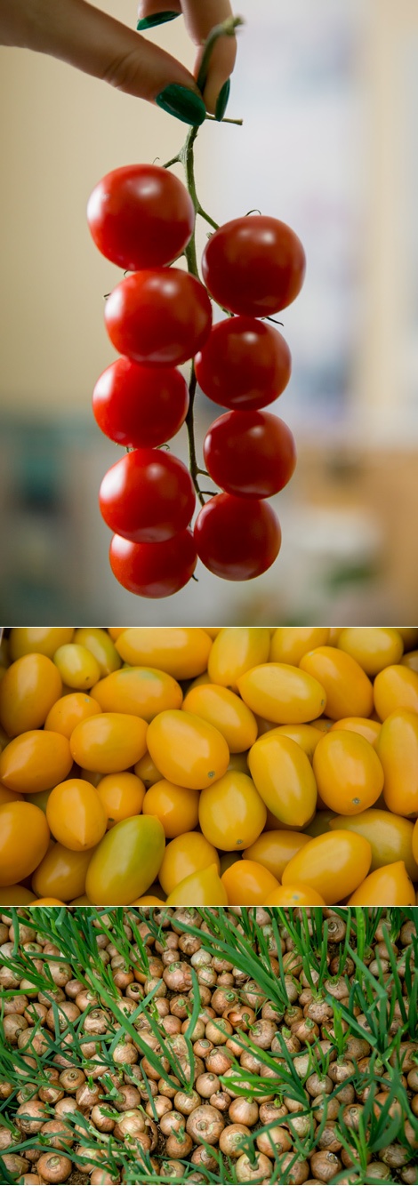Inspiring autumn colors – red, yellow, green...
