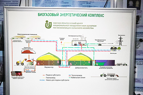 Belarusian Energy and Ecology Forum 2017 in Minsk