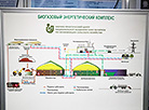 Belarusian Energy and Ecology Forum 2017 in Minsk