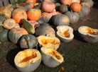 Alexander Shevchenko’s harvest
