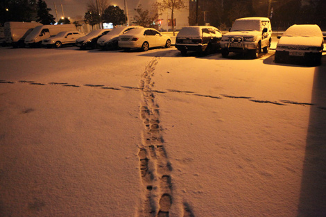 Первый снег в Гомеле  