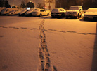 First snow in Gomel