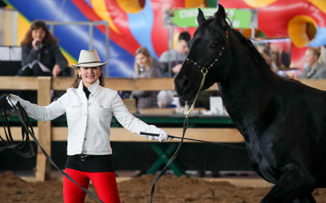 International horse show Autumn 2017
