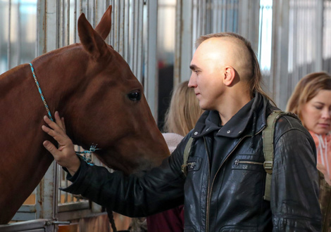International horse show Autumn 2017
