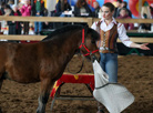 International horse show Autumn 2017