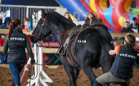 International horse show Autumn 2017