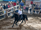 International horse show Autumn 2017