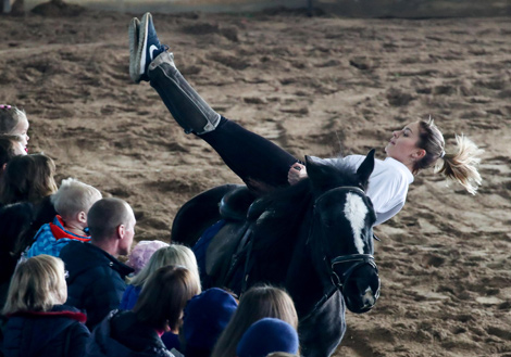 Autumn 2017 Horse Show