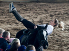 Autumn 2017 Horse Show