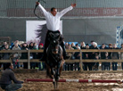 Autumn 2017 Horse Show