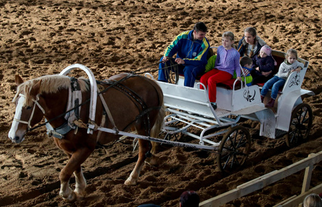 International horse show Autumn 2017