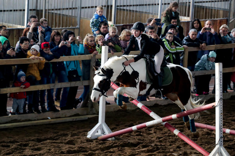 International horse show Autumn 2017