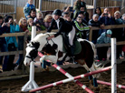 International horse show Autumn 2017