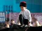 International horse show Autumn 2017