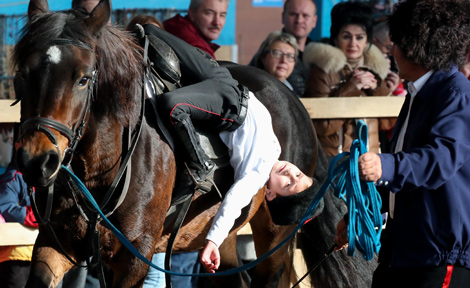 International horse show Autumn 2017