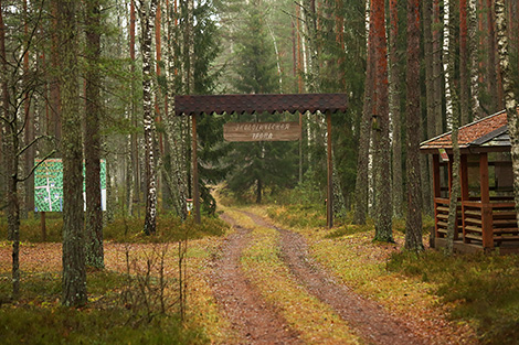 Syabrinsky Perekrestok tourist eco-path 