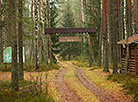 Syabrinsky Perekrestok tourist eco-path 
