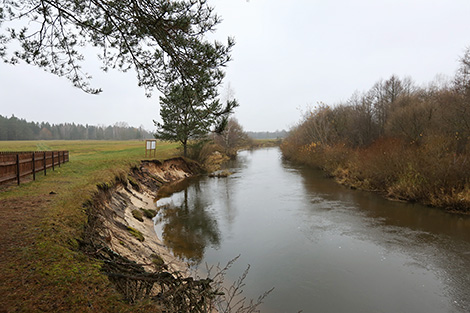 Water and bike routes in Nalibokskaya Pushcha for outdoor activities fans