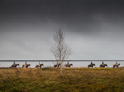 A WWI battle reenacted in Zabrodye village-museum