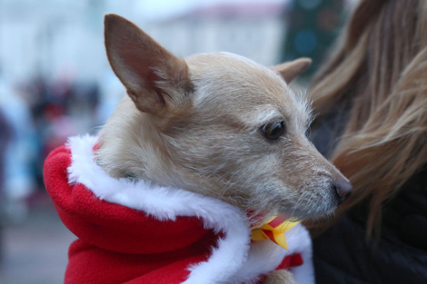 Новогодний карнавал в Гродно