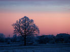 A winter morning in Grodno district