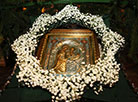 Christmas Eve: nuns and churchgoers decorate the church, Christmas trees and erect the Christmas crib