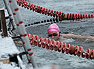 Belarus' open winter swimming championship Minsk Open 