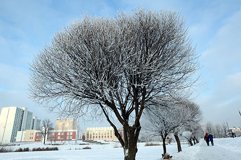 Зима в Гомеле: городские виды и активный отдых на свежем воздухе