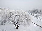 Городской парк возле реки Дубравенка