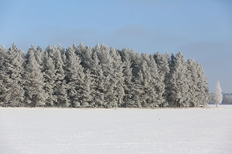 Морозный январь-2018 в Беларуси