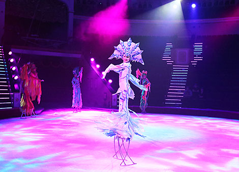 Московский цирк Никулина представил шоу 