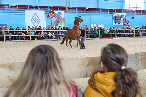Spring 2018 horse show in Minsk