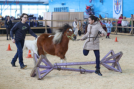 Spring 2018 horse show in Minsk