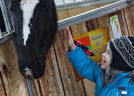 Spring 2018 horse show in Minsk