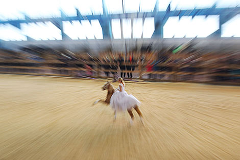 The international exhibition of pedigree horses Spring 2018