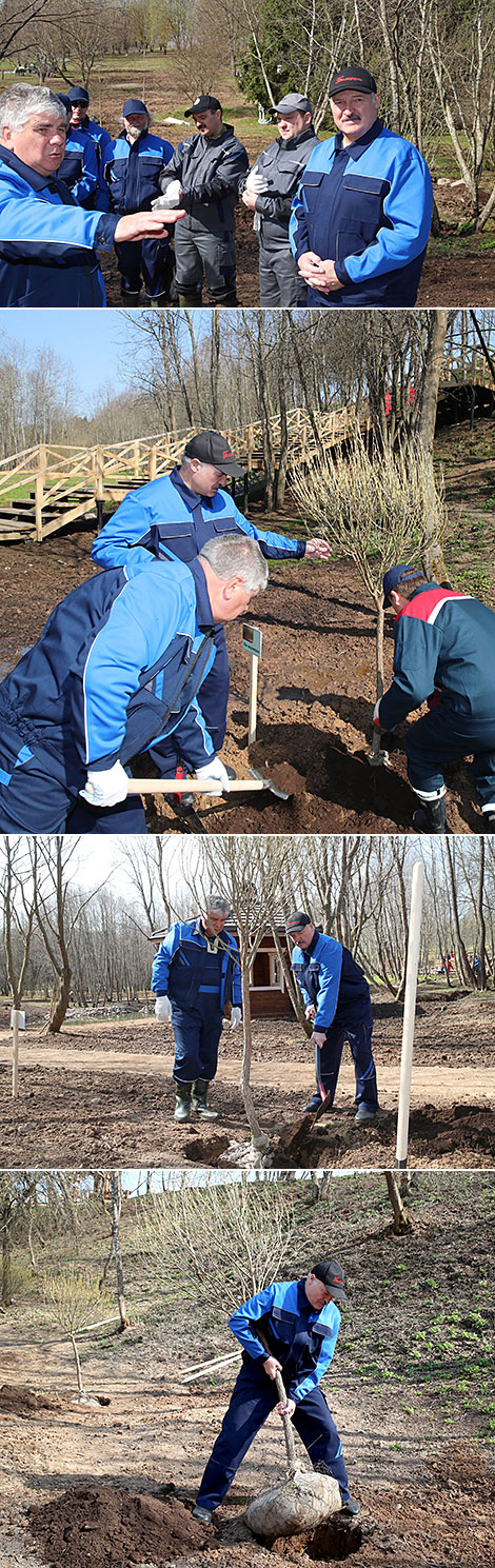 Александр Лукашенко на благоустройстве Трофимовой криницы в Александрии