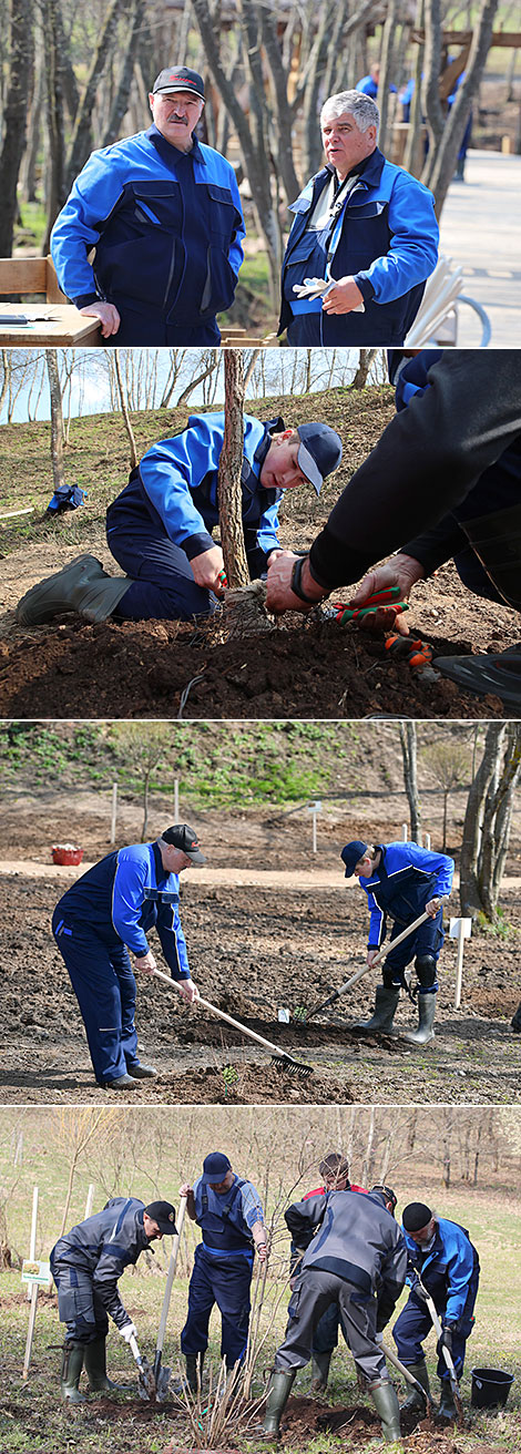 Александр Лукашенко на благоустройстве Трофимовой криницы в Александрии