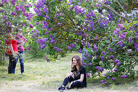 Week of Lilac at Minsk Botanical Garden