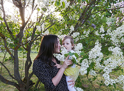 Week of Lilac at Minsk Botanical Garden