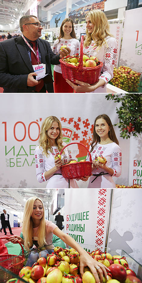 TIBO 2018: best projects of the 100 Ideas for Belarus contest 