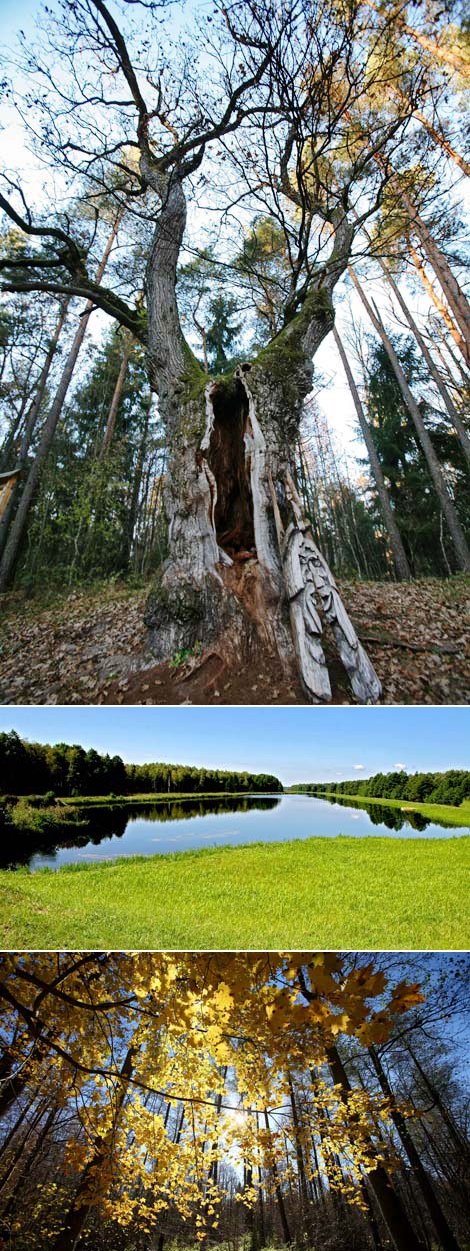 Belovezhskaya Pushcha National Park