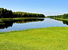 Belovezhskaya Pushcha National Park