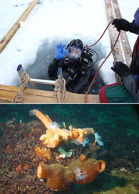 10-я Белорусская антарктическая экспедиция