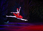 Firebird ballet