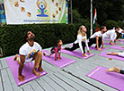 Yoga Day in Minsk