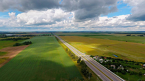 Разноцветные летние поля в окрестностях Минска