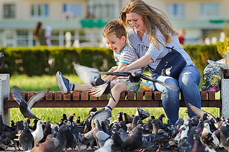 Горожане и голуби: в уютном дворике Бреста