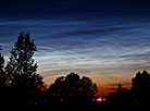 Серебристые облака в вечернем небе над Гродно